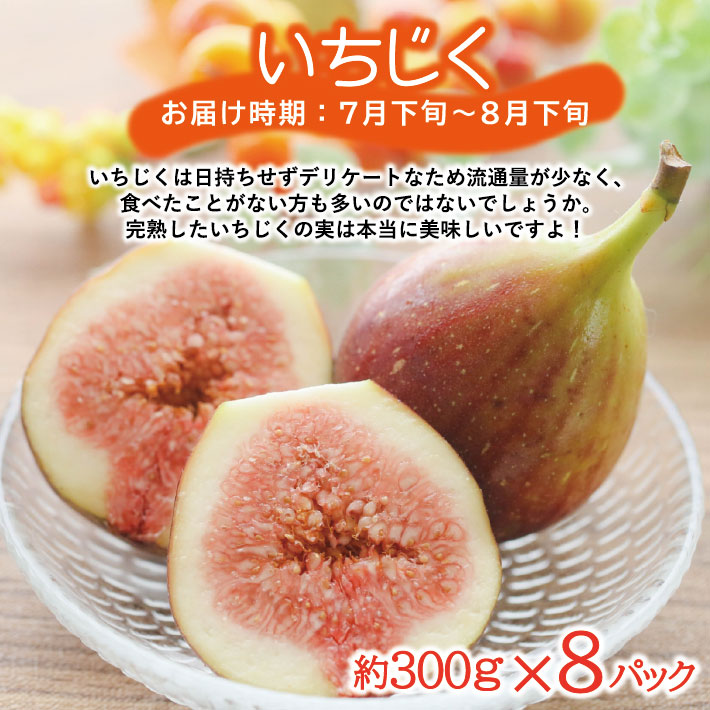 SE0463　【3回定期便】農家直送 こだわりのフルーツ定期便2026 (いちご、庄内メロン、いちじく)