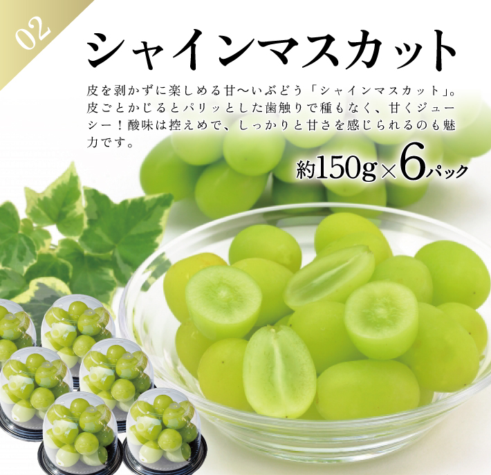 SE0465　【3回定期便】農家直送 フレッシュフルーツ定期便2026 (庄内メロン、青ぶどう、赤ぶどう)