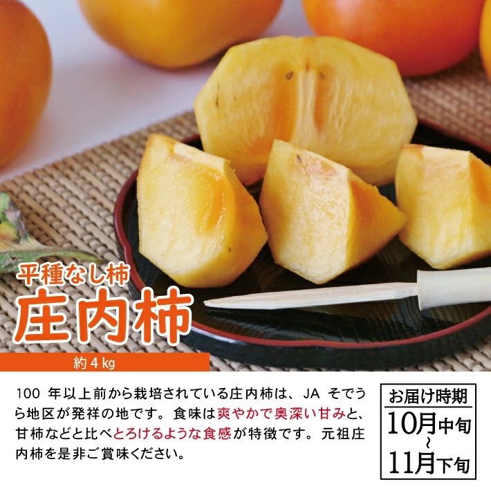 SC0628　【3回定期便】自然の恵み　春・夏・秋フルーツ定期便2026 (いちご、青肉メロン、柿)