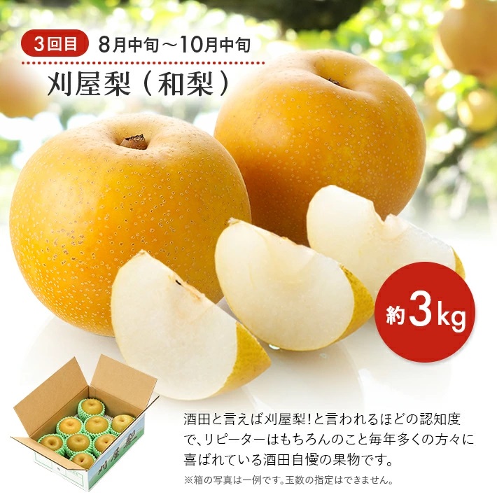 SE0484　【3回定期便】おいしい酒田 マルっとお届け便2026(1) 3月下旬～ (いちご、紅花メロン、刈屋梨)