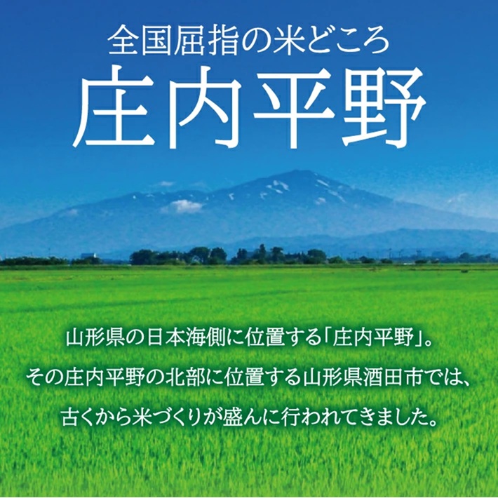 SC0625　令和7年産【玄米】コシヒカリ5kg〔有機JAS認証米〕 HA