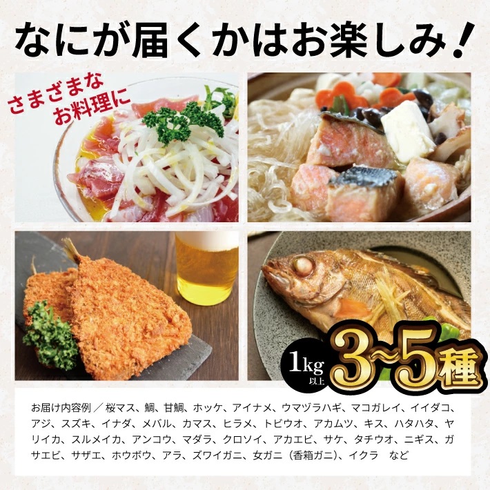 SB0522　地魚おまかせセット(下処理済)　計1kg以上(3～5種類入)