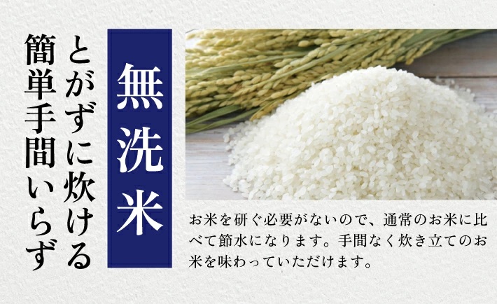 SJ0043　【6回定期便】令和7年産 無洗米 雪若丸　5kg×6回(計30kg) KN