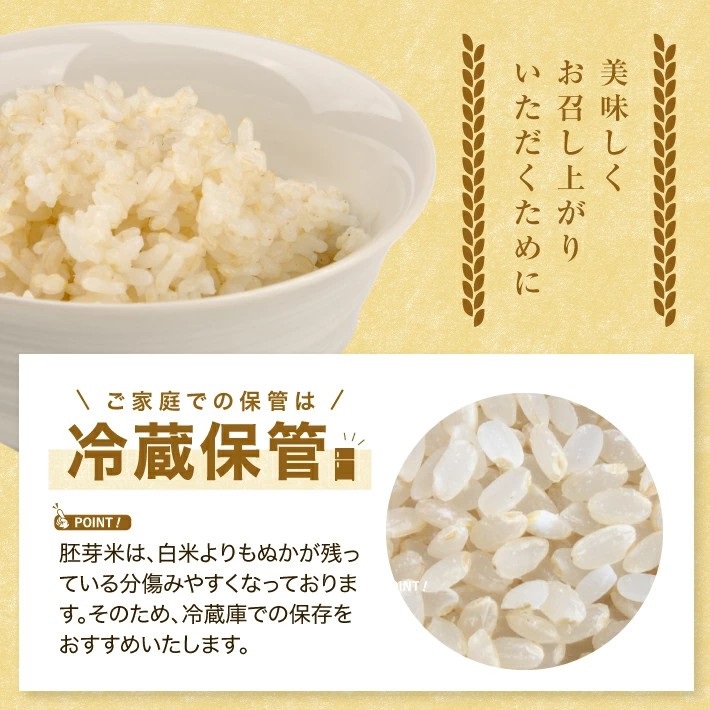 SA2837　令和7年産 【胚芽米】 ひとめぼれ 5kg×1袋 YA