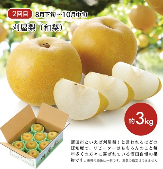 SE0490　【3回定期便】旬のフルーツ マルッとお届け便2026 (紅花メロン、刈屋梨、庄内柿)