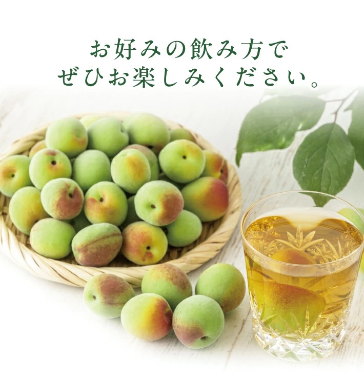 SZ0256　酒田の酒屋厳選　上喜元 うめしゅ　720ml×1本