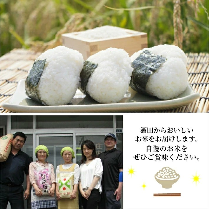 SM0050　【6回定期便】 山形米 はえぬき 5kg×6回(計30kg) AB