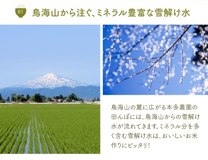 SB0719　12月中旬配送／令和7年産【精米】特別栽培米 つや姫　5kg 農家直送 HO