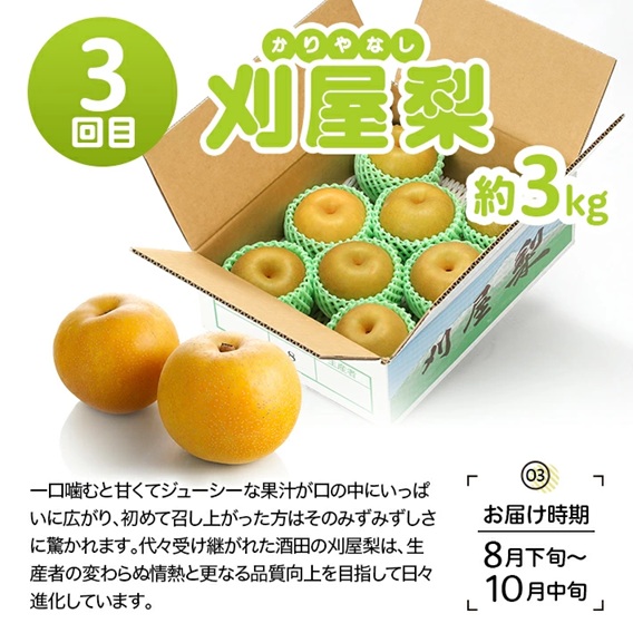 SG0108　【4回定期便】酒田のおいしい夏秋果物セット2026 (アンデスメロン、小玉すいか、刈屋梨、庄内柿)