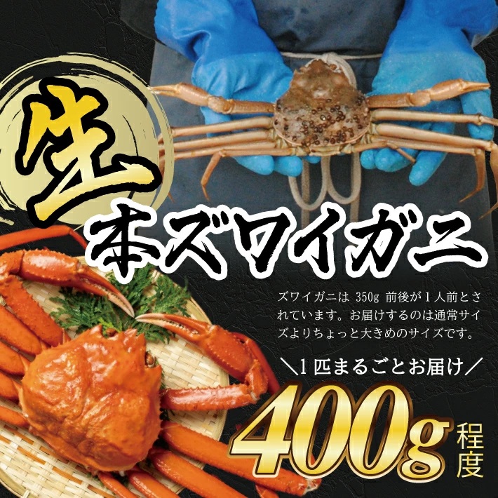 SB0768　春の生・本ズワイガニ　1匹(400g程度)