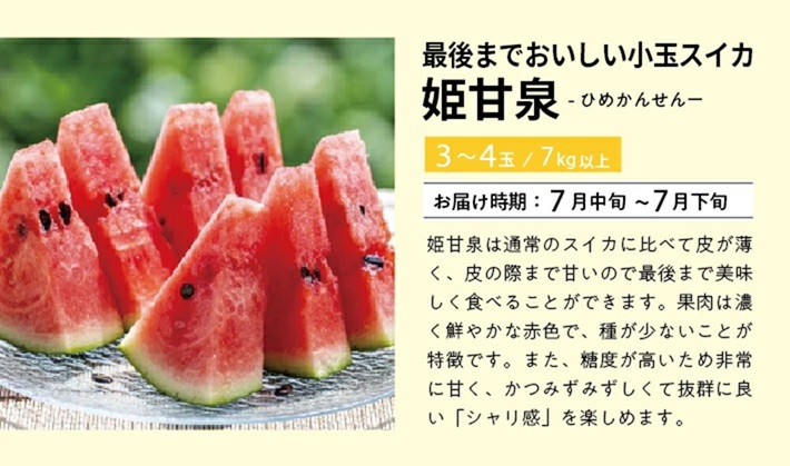 SE0504　【3回定期便】自然の恵み　春・夏フルーツ定期便2026(いちご、青肉メロン、小玉スイカ)