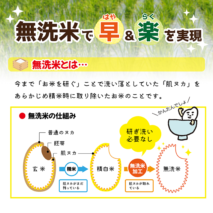 SA2840　令和7年産 【無洗米】 ひとめぼれ　5kg (5kg×1袋) 農家直送『いいあん米』AG