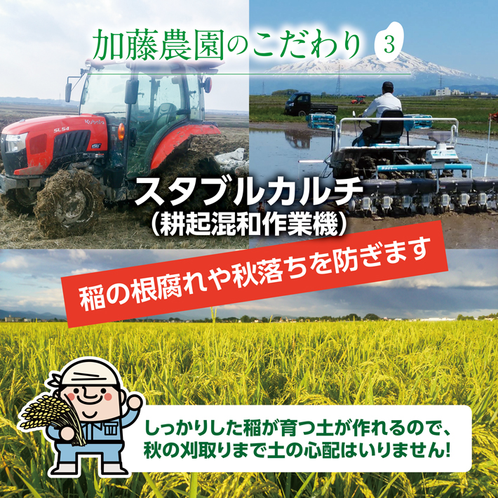 SA2707　令和7年産【精米】特別栽培米コシヒカリ　5kg×1袋「農家直送」 KA