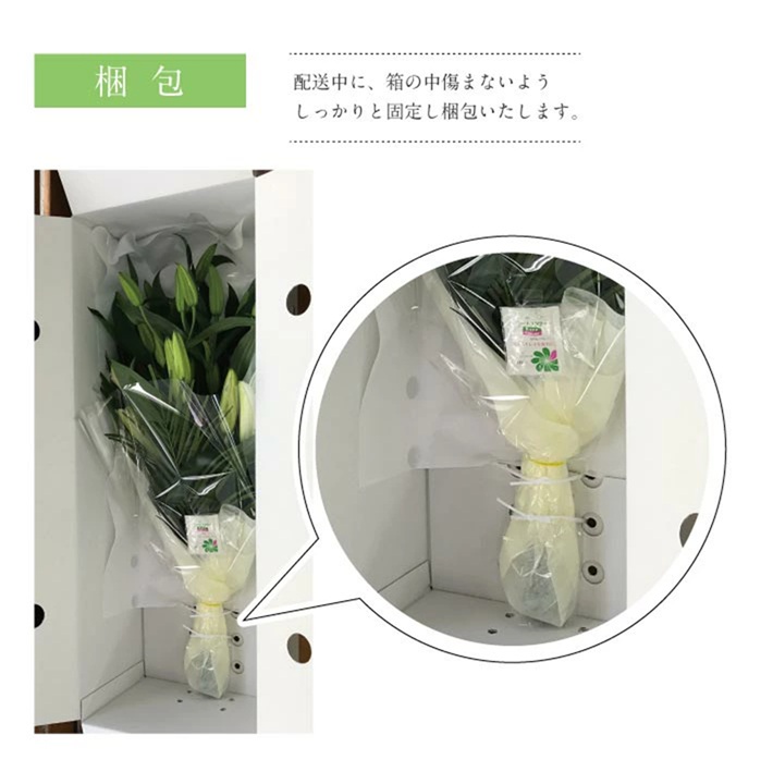 SBT0018　【12回定期便】ピンクユリの花束