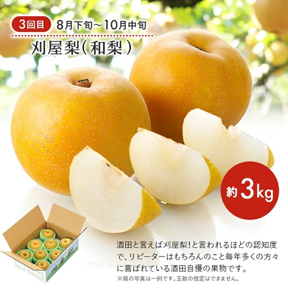 SE0493　【3回定期便】果汁がひろがる！ 酒田の美味しい果物お届け便2026 (アンデスメロン・小玉すいか・刈屋梨)