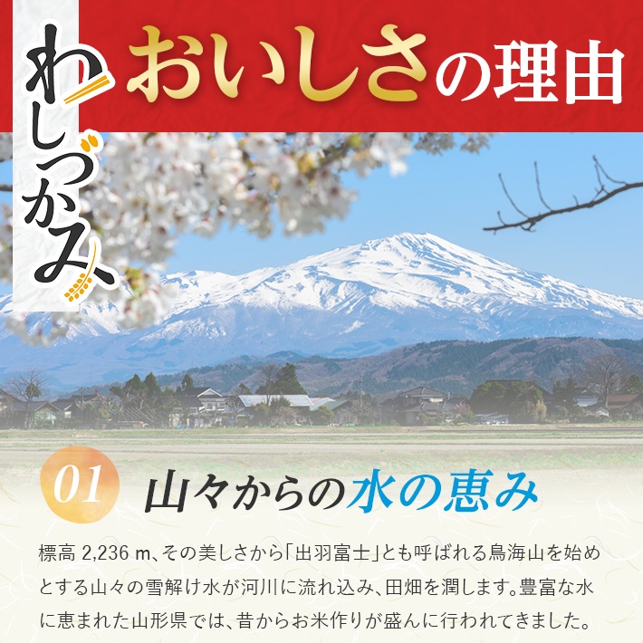 SA2807　【無洗米】わしづかみ　5kg×1袋　山形県産100% 複数原料米 AG