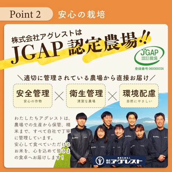 SA2800　ミルキークイーンの 白米おかゆ(7分がゆ)　12パック AG