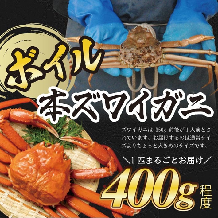 SD0235　春のボイル・本ズワイガニ　1匹400g程度