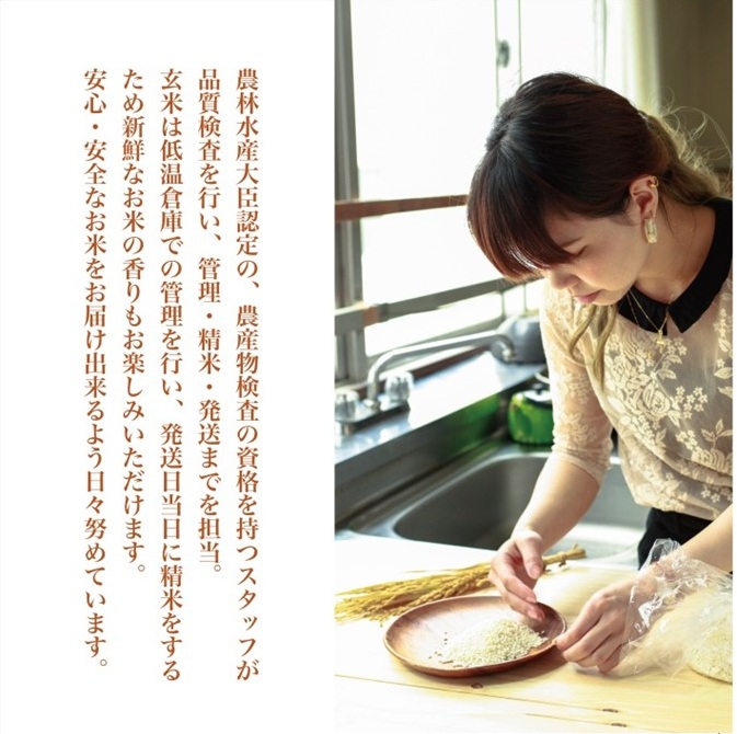 SA2847　令和7年産【白米】ひとめぼれ　5kg(5kg×1袋) YA