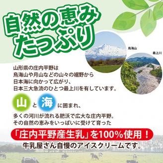 SA0895　庄内平野のおいしいアイスクリームセット　計12個(2種/各6個)【田村牛乳】