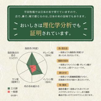 SA1333　【平田牧場】三元豚 豚レバニラ炒め用セット　190g(豚レバー150g、たれ40g)×8パック