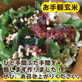 SZ0211　【ちっちゃな農家の大きな夢】 手軽に玄米を！ 食べる発芽玄米 30g×4袋