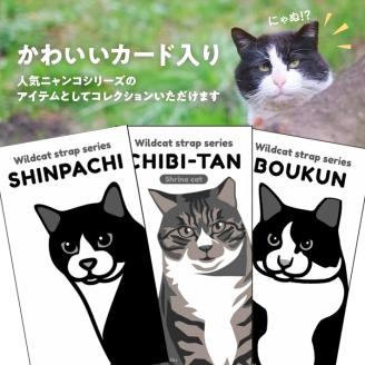 SA1983　ニャンコストラップ3種セット（チビたん、シンパチくん、暴君　各1個）