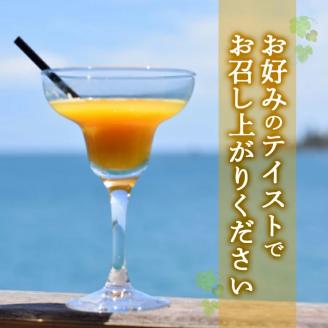 SA1450　酒田の酒屋厳選　子宝リキュール 番外編マンゴー　1800ml×1本