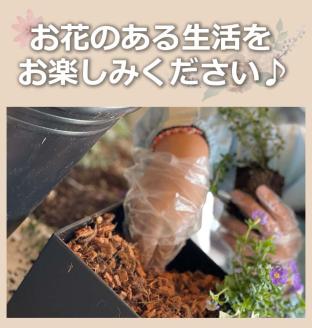 SL0232　【12回定期便】植物と花を育てるキットの定期便「植物の寄せ植えキット スクエア12」