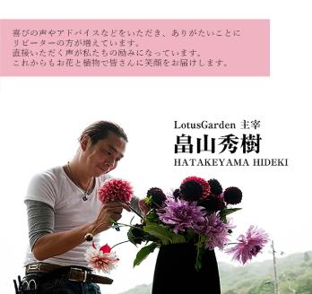 SL0231　【12回定期便】 リースの定期便「毎月楽しむドアリース12」