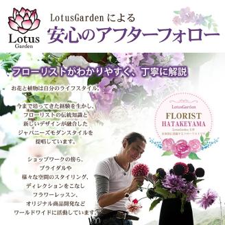SL0229　フローリストが動画で教える　毎月楽しむお花のレッスンキット (12ヵ月)
