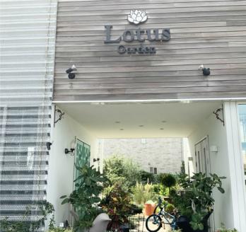 SL0203　禅スタイルシリーズ　苔玉 「酒田の黒松」