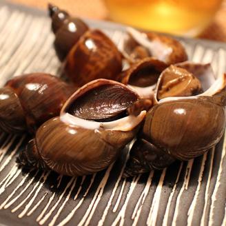 SA0453　庄内浜の香箱「磯」