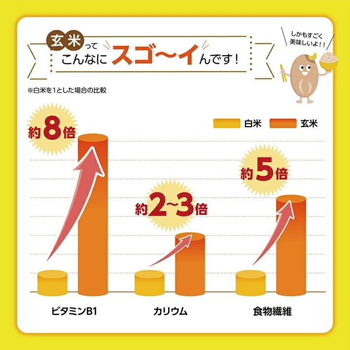 SA0112　ちっちゃな農家の大きな夢　やさしいお粥　(発芽玄米入り玄米粥)9個