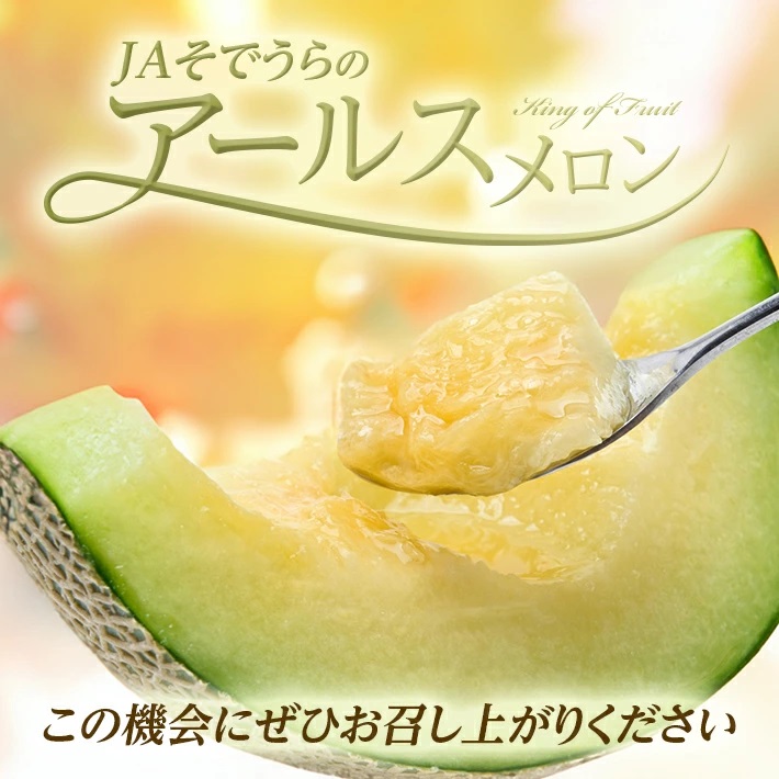 SA2826　アールスメロン 大玉　3.2kg以上(2玉入) つる付き