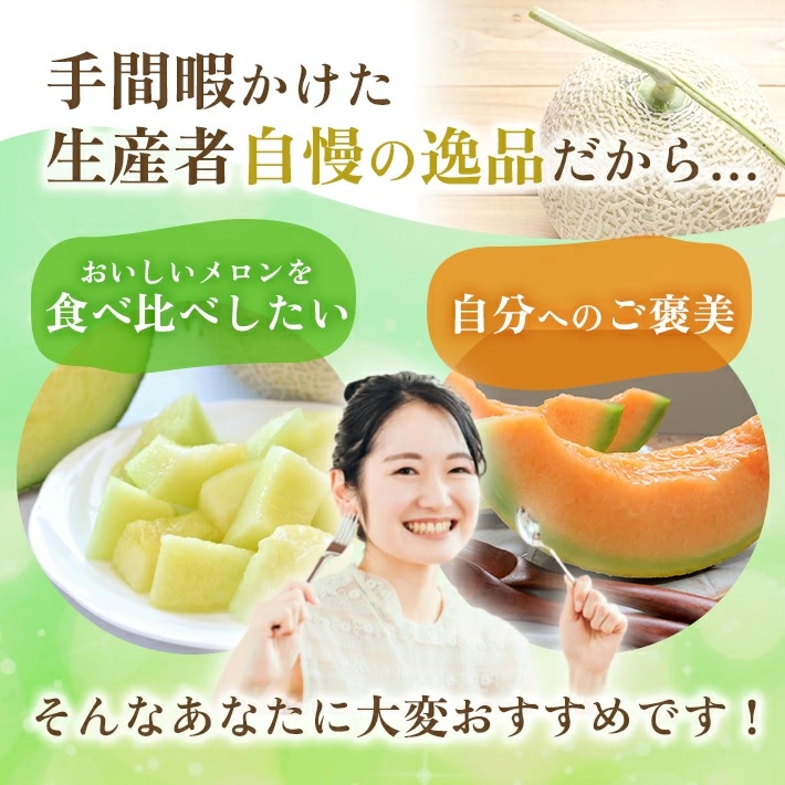 SA2812　庄内砂丘プレミアムメロン(青肉・赤肉) 各1玉 1.7kg以上　計2玉