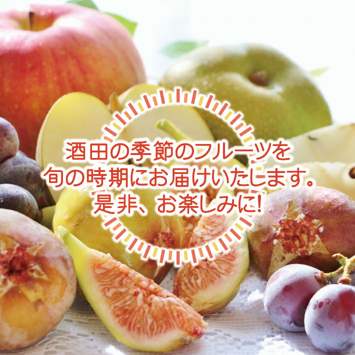 SE0464　【3回定期便】農家直送 旬のフルーツ定期便2026 (いちご、庄内メロン、いちじく)