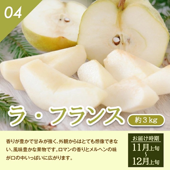 SF0319　【4回定期便】とれたて！フルーツ頒布会2026 (アンデスメロン、和梨、庄内柿、ラ・フランス)