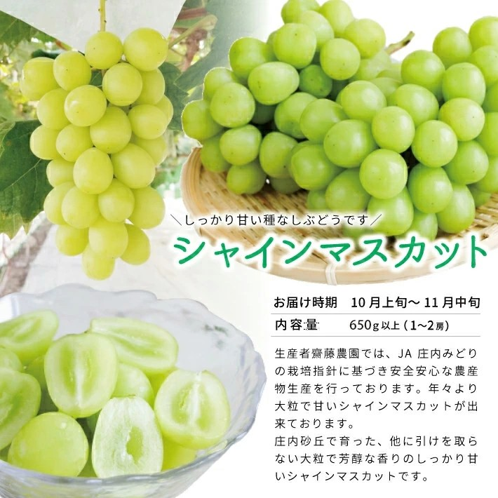 SE0520　【3回定期便】春・夏・秋 フルーツリレー2026 (イチゴ・アンデスメロン・シャインマスカット)