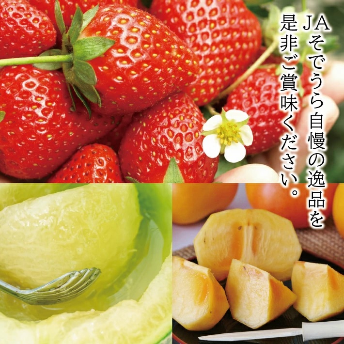 SC0627　【3回定期便】自然の恵みフルーツ定期便2026(2) (いちご、アンデスメロン、柿)