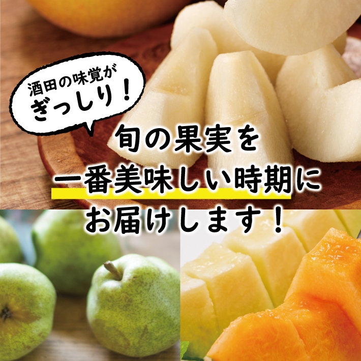 SE0479　【3回定期便】酒田の季節のフルーツ頒布会 Ｂコース2026(プレミアム〔大玉〕メロン、刈屋梨、ラ・フランス)
