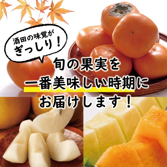 SE0480　【3回定期便】酒田の季節のフルーツ頒布会 Ｃコース2026 (プレミアム〔大玉〕、刈屋梨、庄内柿)