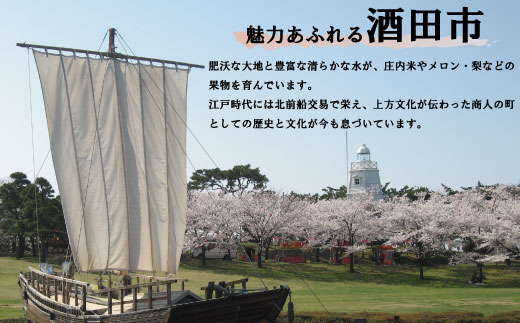 SB0571　【山形県庄内浜産】鮭の味噌粕漬け　5切