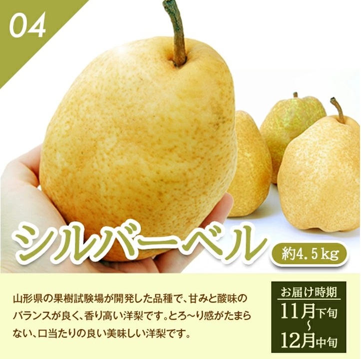 SG0111　【4回定期便】季節のフルーツ頒布会2026(アンデスメロン、和梨、庄内柿、洋梨〔シルバーベル〕)