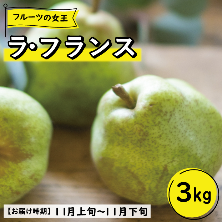 SF0301　【4回定期便】酒田の季節のフルーツ頒布会 Ａコース2026 (プレミアム〔大玉〕メロン、刈屋梨、庄内柿、ラ・フランス)