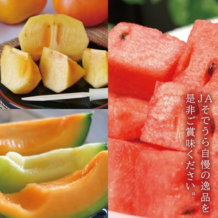 SE0505　【3回定期便】自然の恵み　夏・秋フルーツ定期便2026 (小玉スイカ、彩りメロン［青肉・赤肉］、柿)