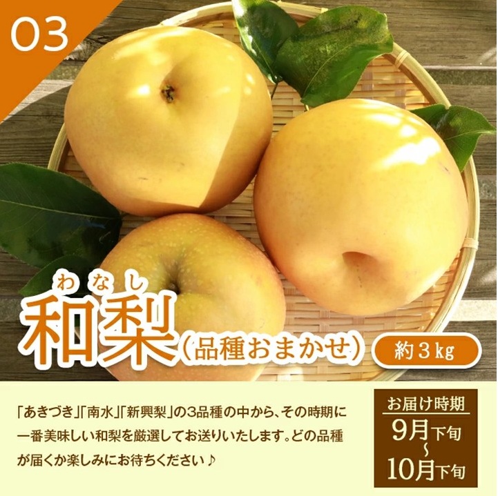 SE0509　【3回定期便】酒田産 特選 和梨3種味比べ定期便2026 (幸水梨、豊水梨、和梨〔品種おまかせ〕/各約3kg)