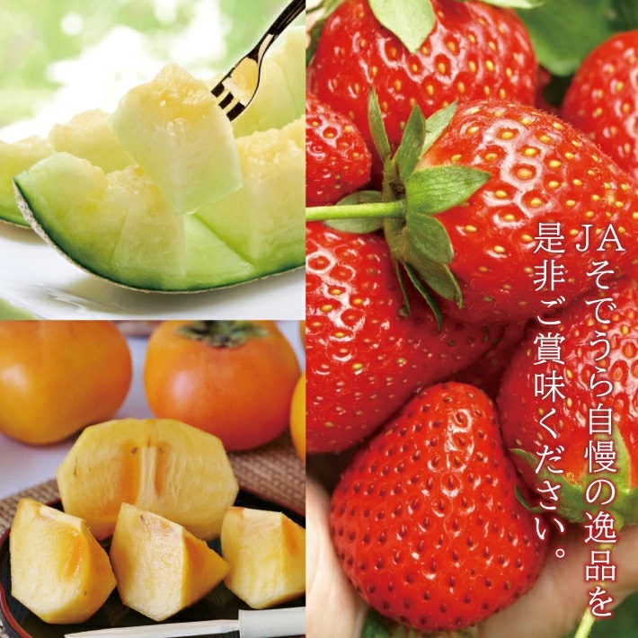 SC0628　【3回定期便】自然の恵み　春・夏・秋フルーツ定期便2026 (いちご、青肉メロン、柿)