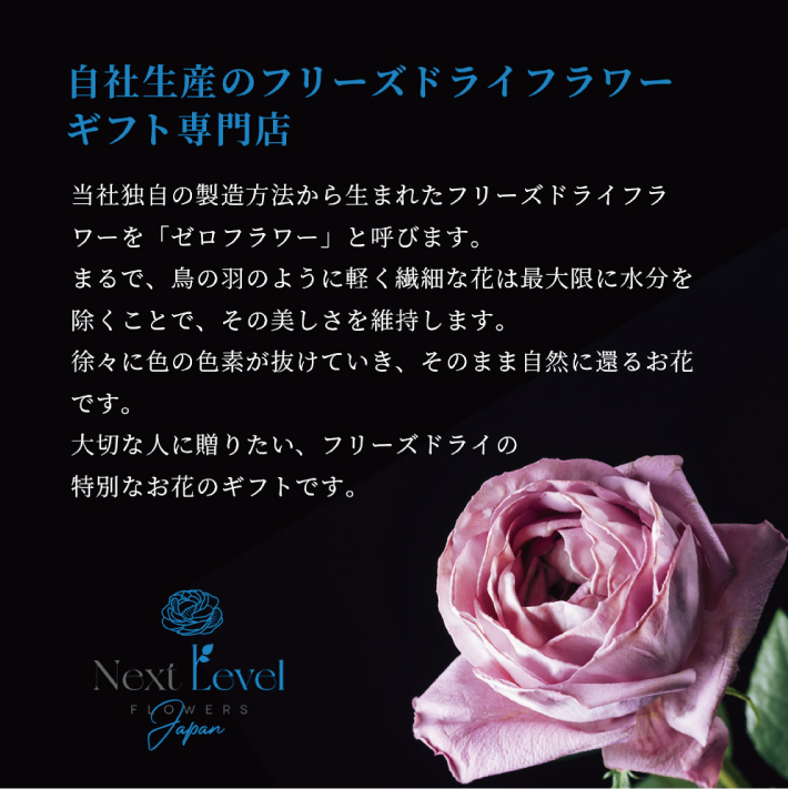 SL0210　水のいらない花　ゼロフラワー「バラ一輪挿し＆花びらセット」