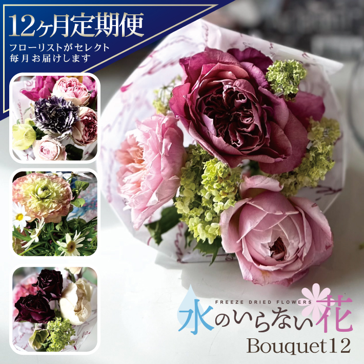SL0230　【12回定期便】水のいらない花　ゼロフラワー定期便「Bouquet12」